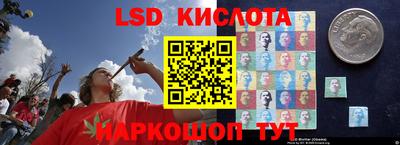 стаф Нарткала