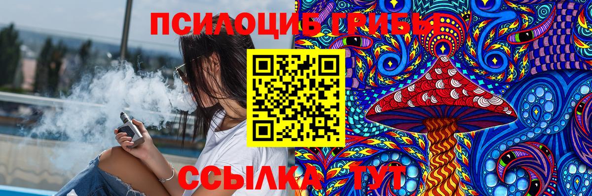 Южно-Сахалинск  Псилоцибиновые грибы Cubensis  Вход с VPN 